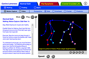 Canine Lameness Learning Module