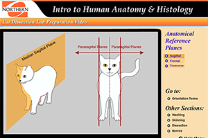 Cat Dissection Lab Preparation Learning Module